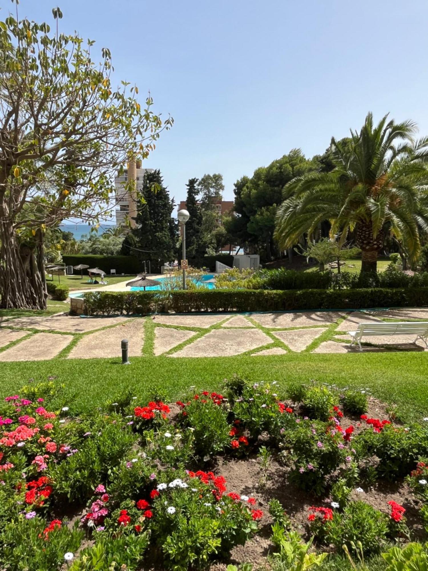 Parque La Chicharra Near Alicante And Beach Zewnętrze zdjęcie