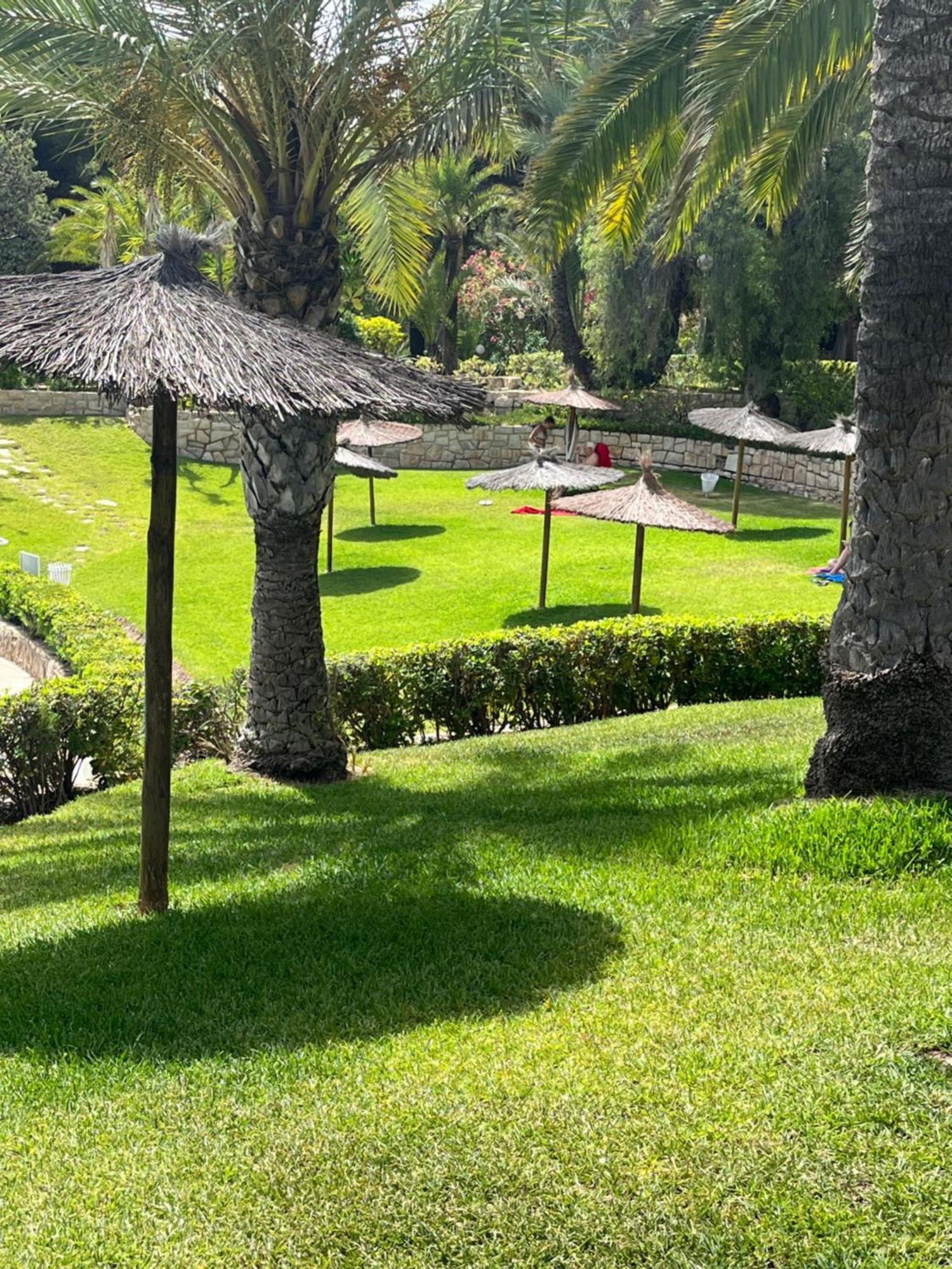 Parque La Chicharra Near Alicante And Beach Zewnętrze zdjęcie