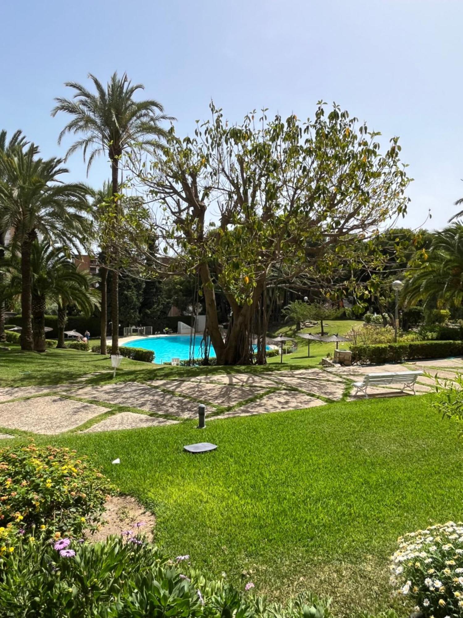 Parque La Chicharra Near Alicante And Beach Zewnętrze zdjęcie